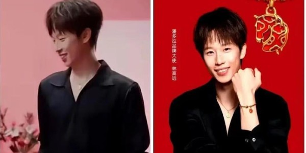 开云网站-正式退出，亮相广东，林高远官宣，新岗位曝光，任期2年|国乒|郝帅|林诗栋|王楚钦|马龙_新浪体育_新浪新闻